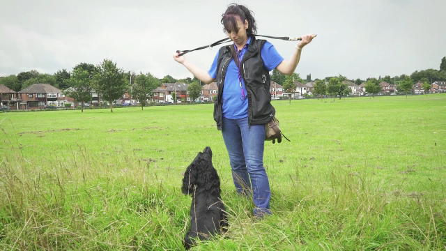 SPORT CLUB - Progressive Gundog
